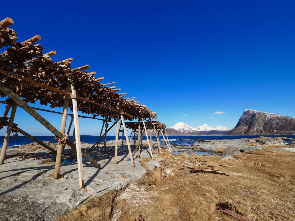 Vila Eggum Rorbuer Bostad Exteriér fotografie