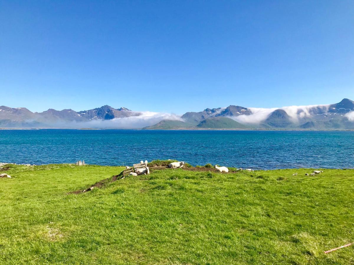 Vila Eggum Rorbuer Bostad Exteriér fotografie